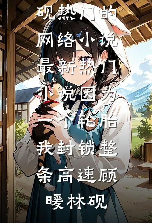 因为一个轮胎，我封锁整条高速(顾暖林砚)热门的网络小说_最新热门小说因为一个轮胎，我封锁整条高速(顾暖林砚)