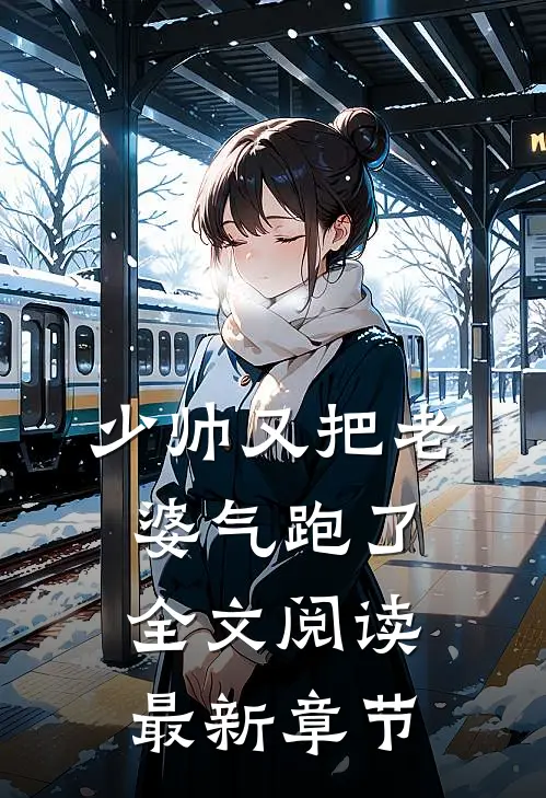 少帅又把老婆气跑了全文阅读最新章节