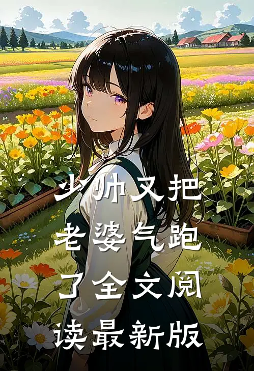 少帅又把老婆气跑了全文阅读最新版