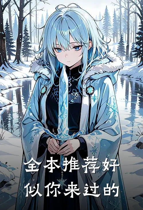 全本推荐好似你来过的
