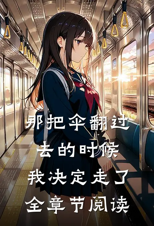 那把伞翻过去的时候，我决定走了全章节阅读