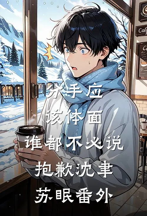 分手应该体面，谁都不必说抱歉沈聿苏眠番外
