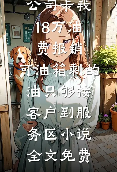 公司卡我18万油费报销，可油箱剩的油只够接客户到服务区小说全文免费