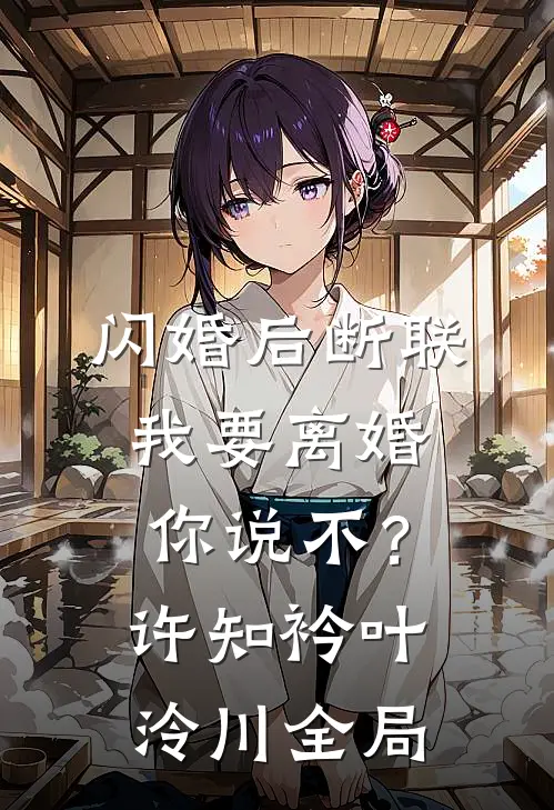 闪婚后断联，我要离婚你说不？许知衿叶泠川全局