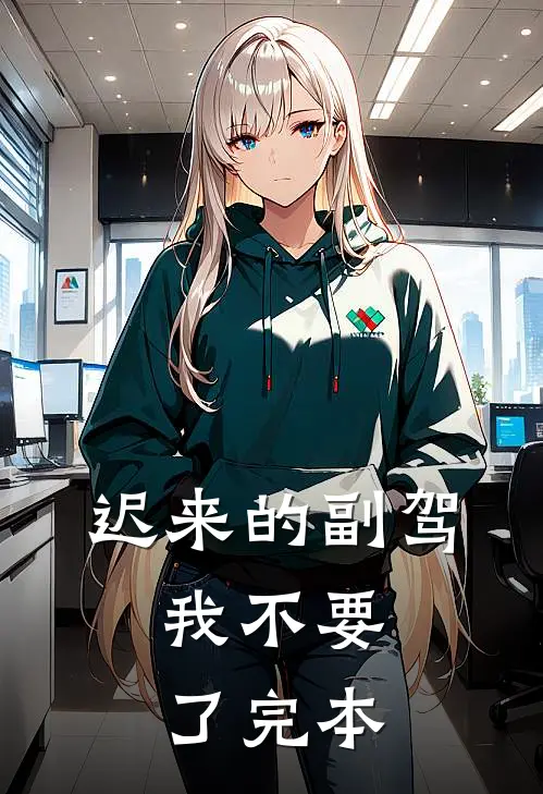 迟来的副驾，我不要了完本