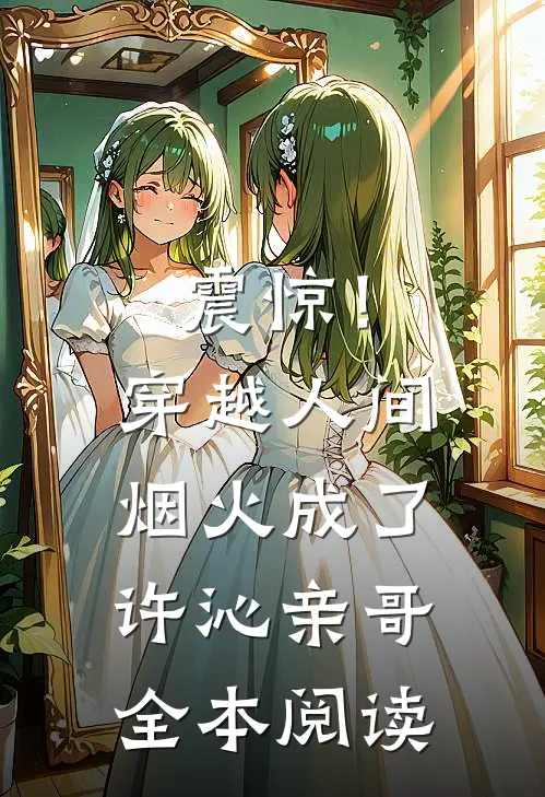 震惊！穿越人间烟火成了许沁亲哥全本阅读