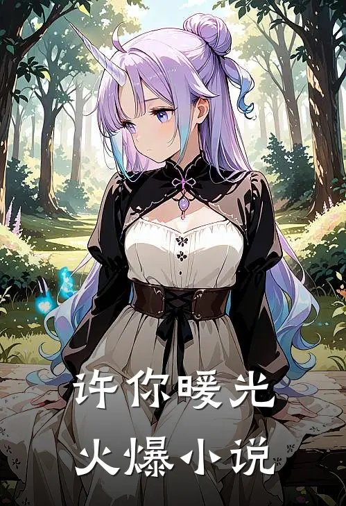 许你暖光火爆小说
