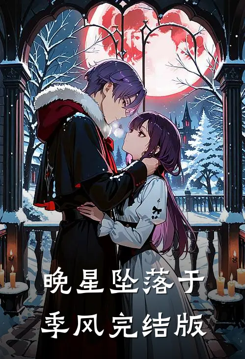 晚星坠落于季风完结版