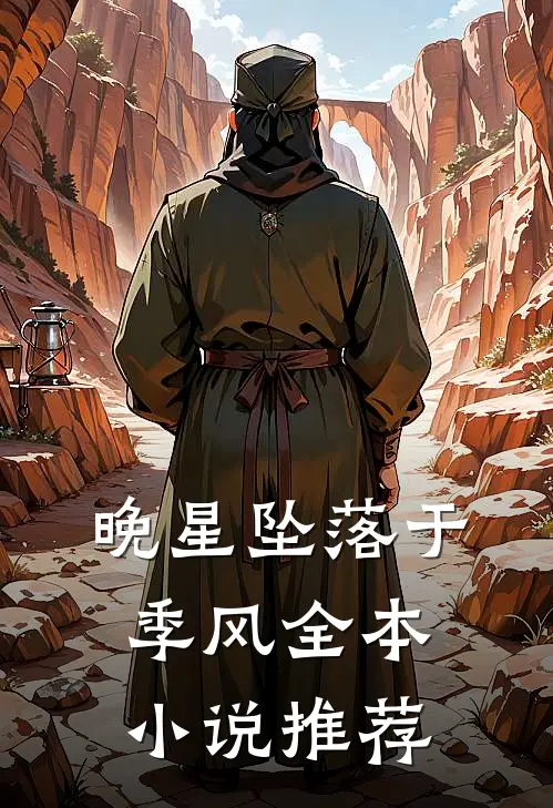 晚星坠落于季风全本小说推荐