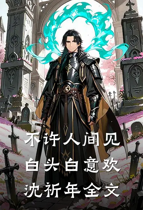 不许人间见白头白意欢沈祈年全文