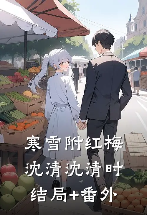 寒雪附红梅沈清沈清时结局+番外