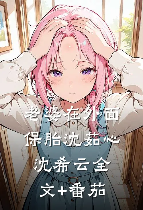 老婆在外面保胎沈茹心沈希云全文+番茄