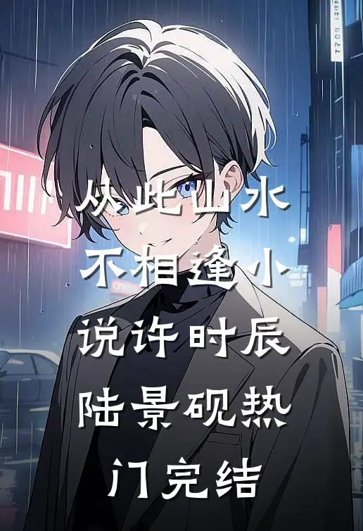 从此山水不相逢小说许时辰陆景砚热门完结