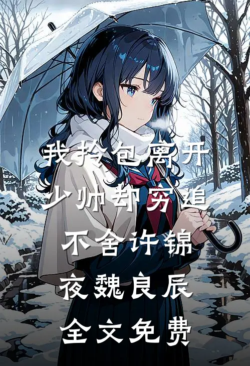 我拎包离开，少帅却穷追不舍许锦夜魏良辰全文免费
