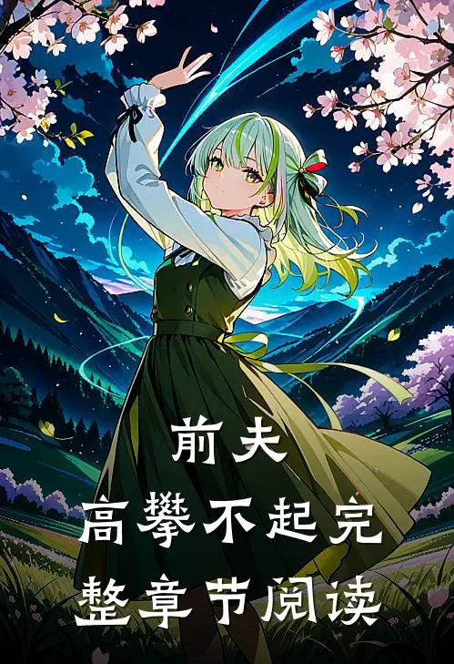 前夫,高攀不起完整章节阅读