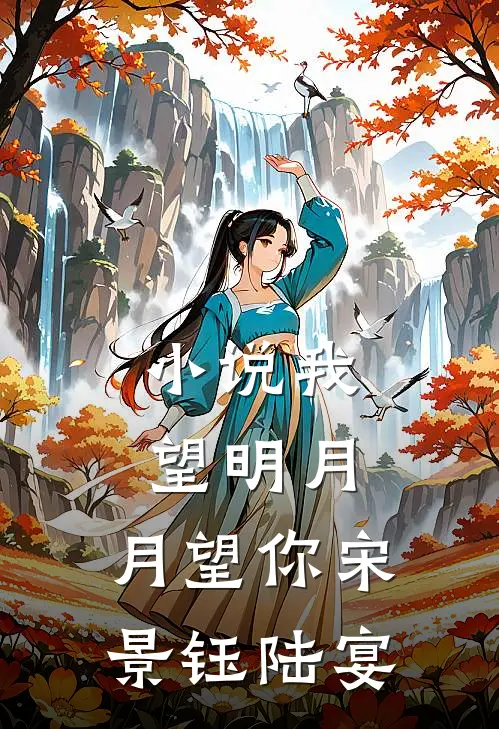 小说我望明月，月望你(宋景钰陆宴)