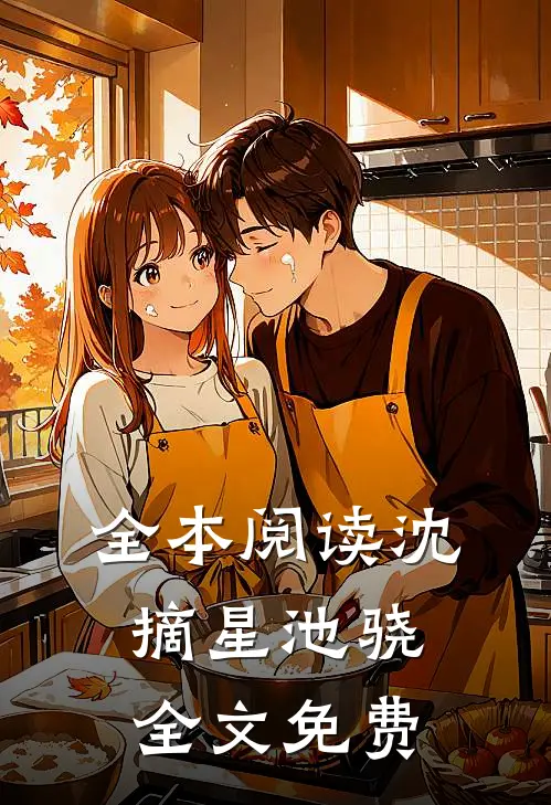 全本阅读沈摘星池骁全文免费