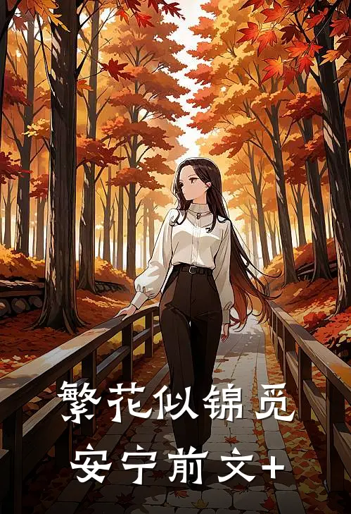 繁花似锦觅安宁前文+